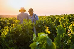 Bordeaux winegrowers